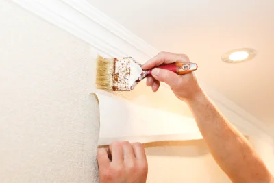 Pose de papier peint à Daluis — revêtements muraux et toiles de verre
